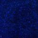 Ranieri Pietra Lavica - Surfaces - Tinted Stone - Night Blue