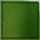 Color block - Pino Green