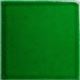 Color block - Miami Green