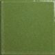 Color block - Forest Green