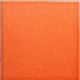 Color block - Shell Coral