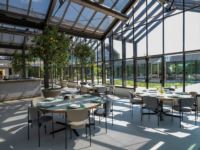 Designing with Lava Rock: Ideas for Hotels