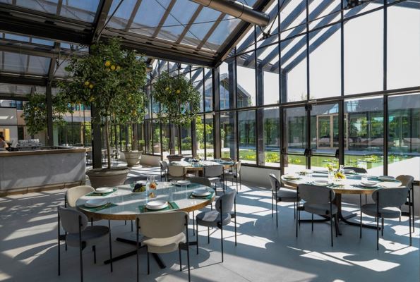 Designing with Lava Rock: Ideas for Hotels 