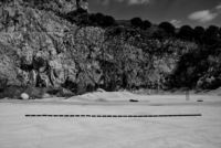 Pietra lavica nella paesaggistica: bellezza, resistenza e versatilità