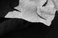 Falsi Miti sulla Pietra Lavica Sfatati per i Designer