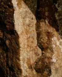 Material intelligence: Beyond geographical origin
